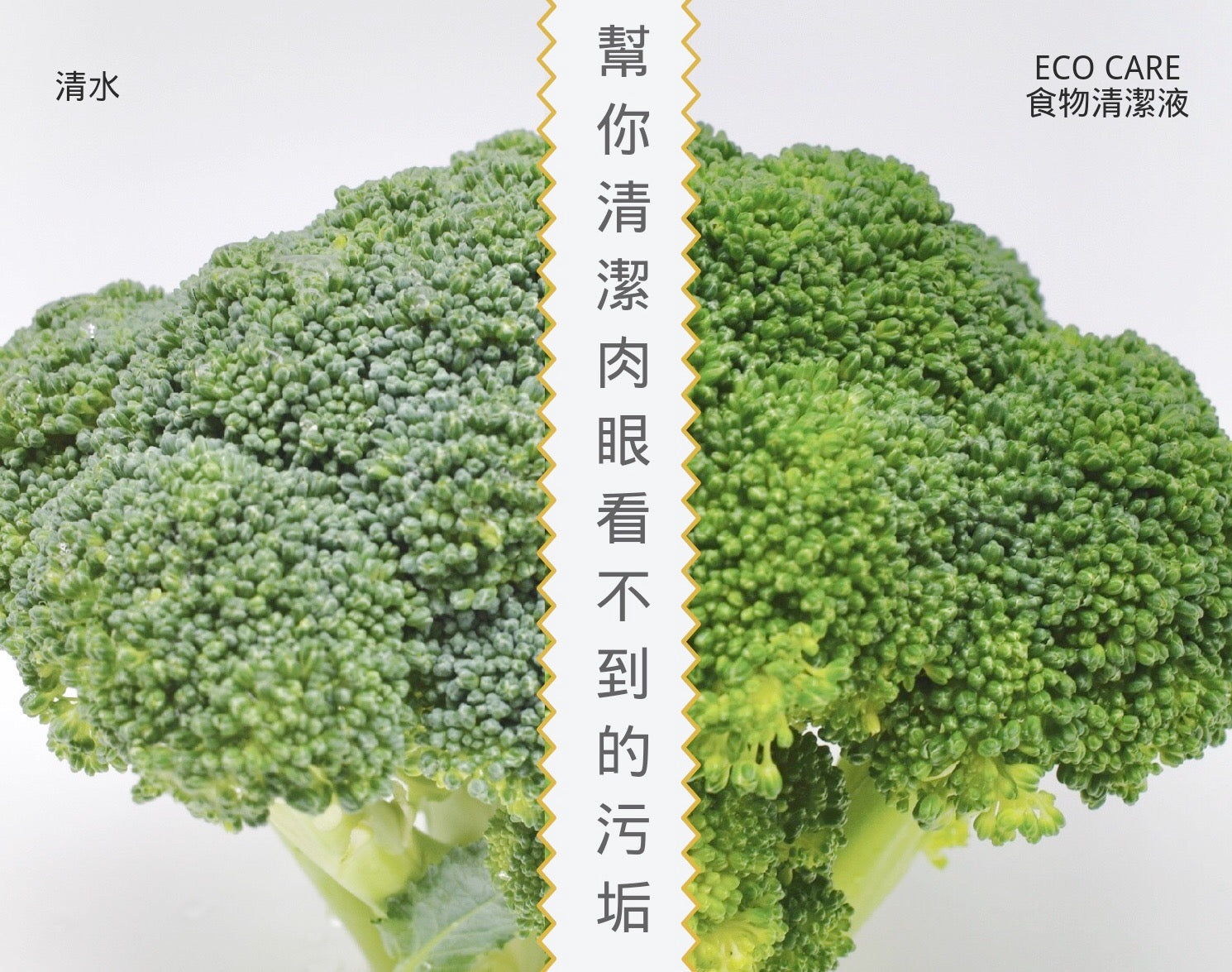 Food Wash 食物清潔液